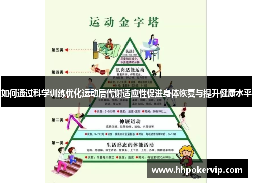 如何通过科学训练优化运动后代谢适应性促进身体恢复与提升健康水平